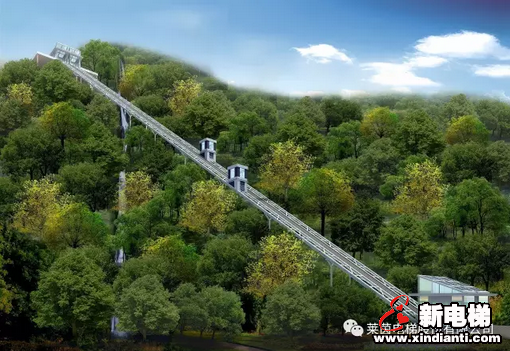 苏州市委市政府领导考察莱茵电梯(图3)