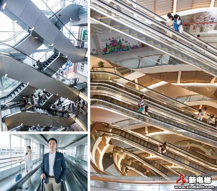 电梯大事件:巨龙电梯开张大吉!(图6) 电梯大事件:巨龙电梯开张大吉!(图6)