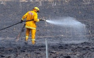 澳大利亚高温致火灾频发 局地进入“灾难”状态