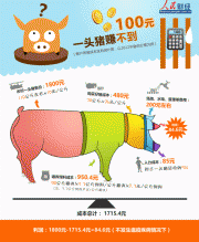 散户逐渐“退出江湖” 养猪业加速结构转变