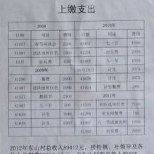 广东吴川1村组被曝年收入8万 5万用于接待领导