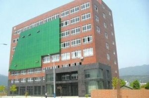 网曝四川广元镇政府建豪华办公楼 村民筹251万元