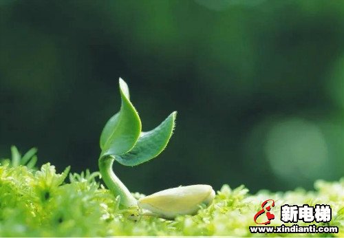 春土润万物,破土为新生 | 康力电梯2020年首期新人训(图1) 春土润万物,破土为新生 | 康力电梯2020年首期新人训(图1)
