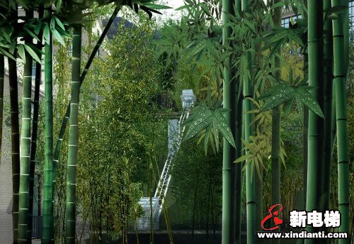 莱茵电梯助力御水温泉·竹溪谷酒店打造又一度假新去处(图3) 莱茵电梯助力御水温泉·竹溪谷酒店打造又一度假新去处(图3)