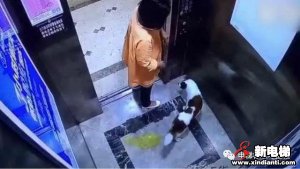 这条关于你的乘梯新规一定要读！不良＂嗜好＂罚款2000！