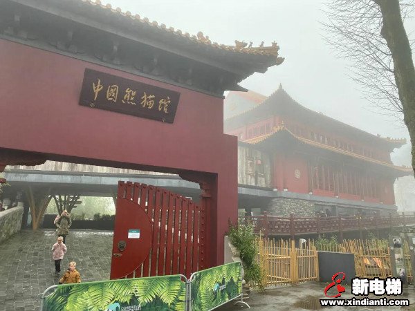 CIBES西柏思丨搭乘西柏思电梯 遇见可爱的它们——旅居大熊猫(图2) CIBES西柏思丨搭乘西柏思电梯 遇见可爱的它们——旅居大熊猫(图2)