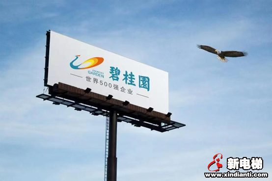 五年内排名跃升328位,碧桂园为何能够站稳世界500强?(图1) 图片