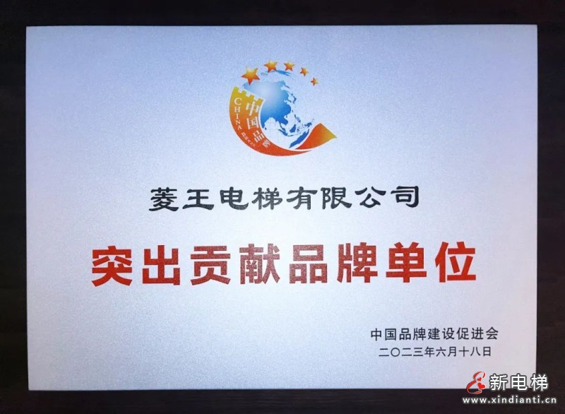 菱王电梯荣获“突出贡献品牌单位”荣誉,实力助推中国品牌建设(图5) 菱王电梯荣获“突出贡献品牌单位”荣誉,实力助推中国品牌建设(图5)