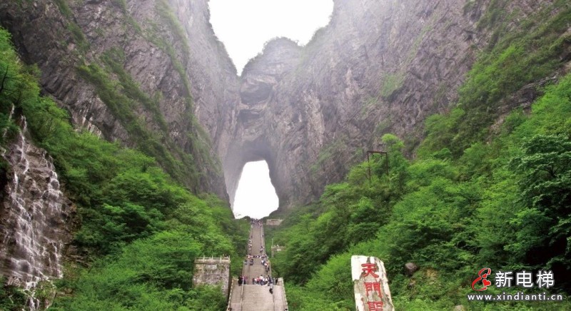 高端定制 | 康力电梯于湘江畔点靓“顶级潮流地标”(图5) 微信图片_20230803112719_1