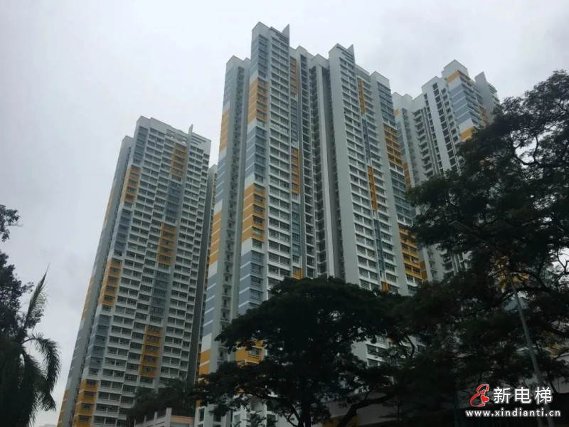喜报!2.77 亿,博林特电梯在新加坡市场斩获今年最大海外订单!(图2) 喜报!2.77 亿,博林特电梯在新加坡市场斩获今年最大海外订单!(图2)