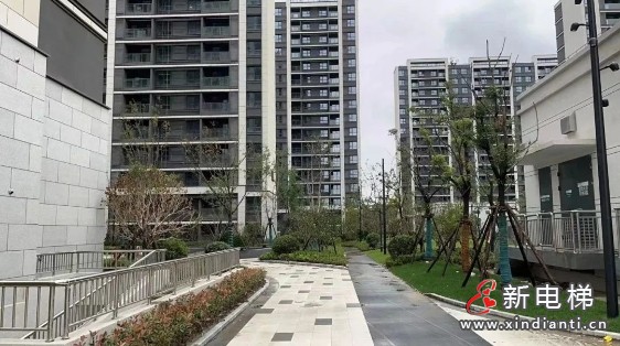 完美交付!67台康力电扶梯进驻上海临港主城核心(图2) 完美交付!67台康力电扶梯进驻上海临港主城核心(图2)