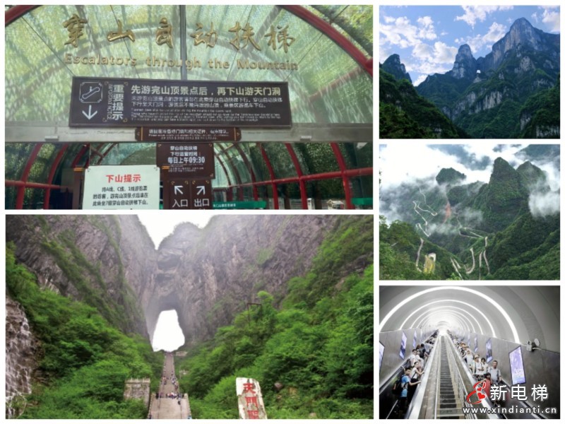 Chinatravel火到“国际张”,天门山天梯发生了这一幕...(图3) Chinatravel火到“国际张”,天门山天梯发生了这一幕...(图3)