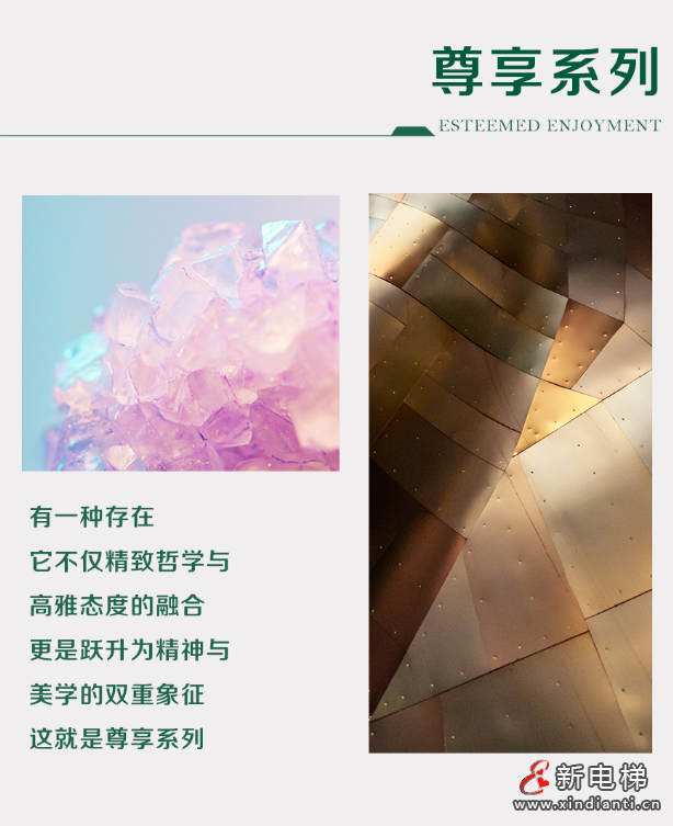 森赫家居电梯丨融入空间,让艺术成为生活(图17) 屏幕截图 2024-07-09 145406