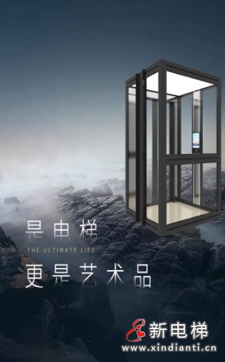 森赫家居电梯丨是电梯 更是艺术品