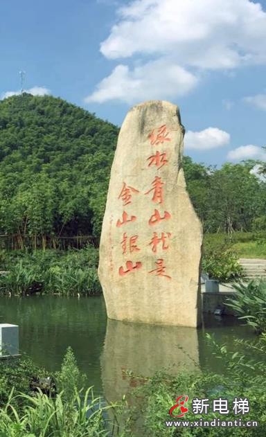 50台丨森赫电梯以全场景解决方案助力“生命健康”新未来(图2) 360截图20240730094039338