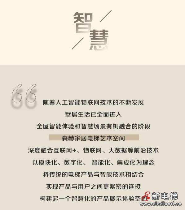 森赫家居电梯艺术空间丨打破艺术边界,感受生活之美(图11) 360截图20241010164500867
