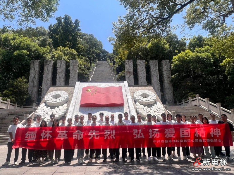 中共森赫电梯股份有限公司总支部委员会获评市级“党建强、发展强”先进非公有制企业党组织(图4) 中共森赫电梯股份有限公司总支部委员会获评市级“党建强、发展强”先进非公有制企业党组织(图4)