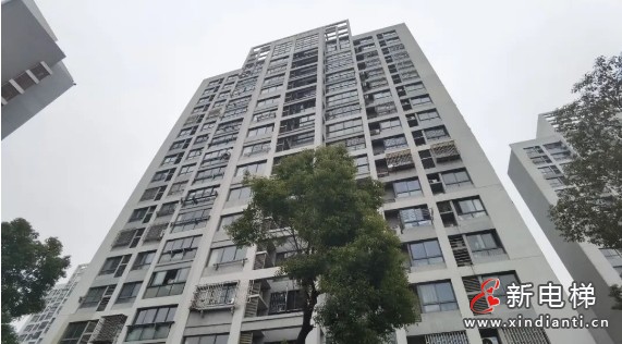 新电梯早新闻2024年12月13日 十一月十三 星期五(图5) 微信截图_20241212161248