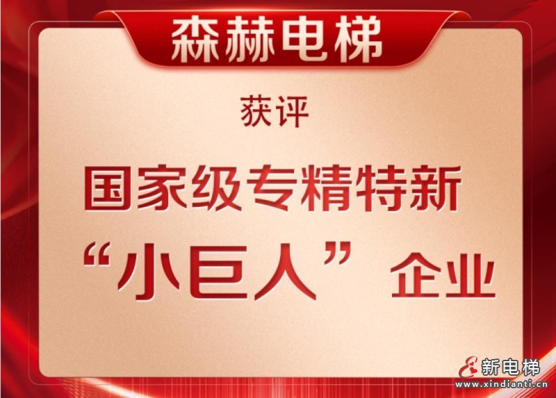 新电梯早新闻2024年12月18日 十一月十八星期三(图4) 森赫