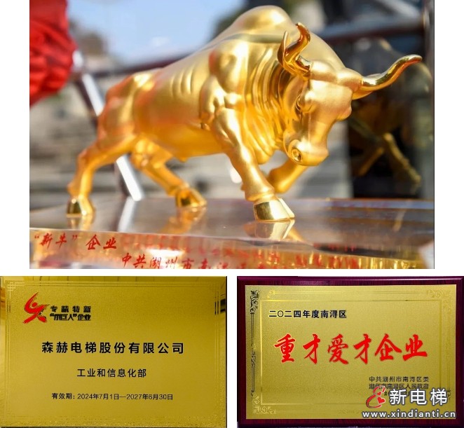开门红丨森赫电梯捧回新牛企业、国家专精特新“小巨人”企业、重才爱才企业三项政府大奖(图3) 微信截图_20250208154050