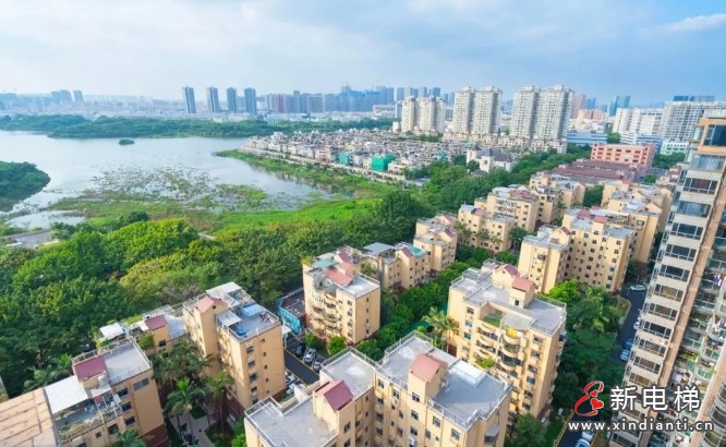 新电梯早新闻 2025年3月3日 二月初四 星期一(图2) 深圳