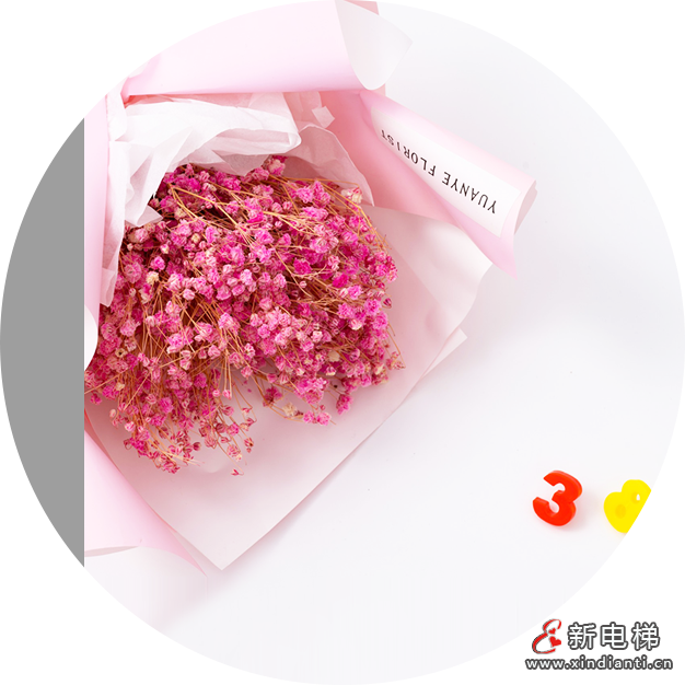 花开江南,芳华绽放︱江南嘉捷关爱女职工活动温暖起航,祝所有女神:节日快乐!(图3) 微信图片_20250307154815