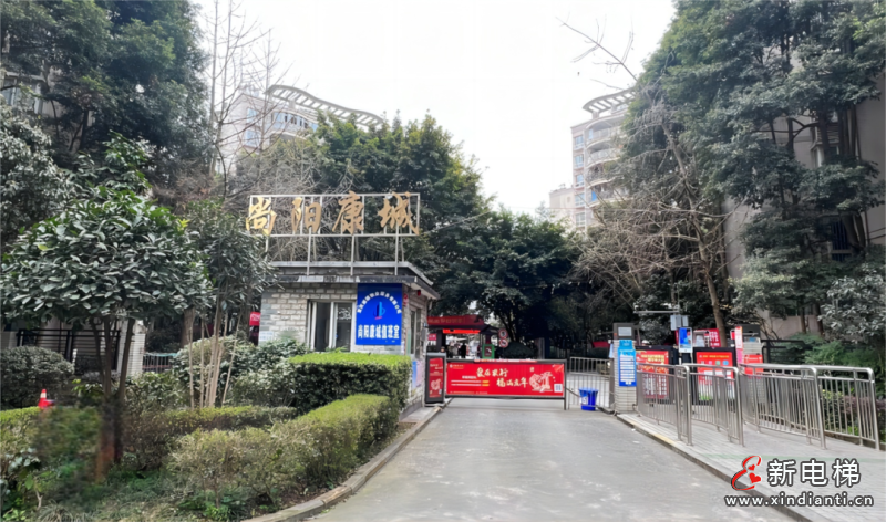 新电梯早新闻 2025年3月12日 二月十三 星期三(图3) 新电梯早新闻 2025年3月12日 二月十三 星期三(图3)