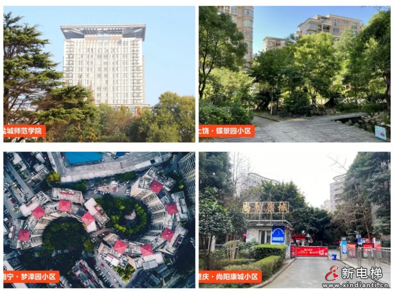 蝉联政府采购领域大奖!电梯双品牌连续四年问鼎十强(图4) 蝉联政府采购领域大奖!电梯双品牌连续四年问鼎十强(图4)
