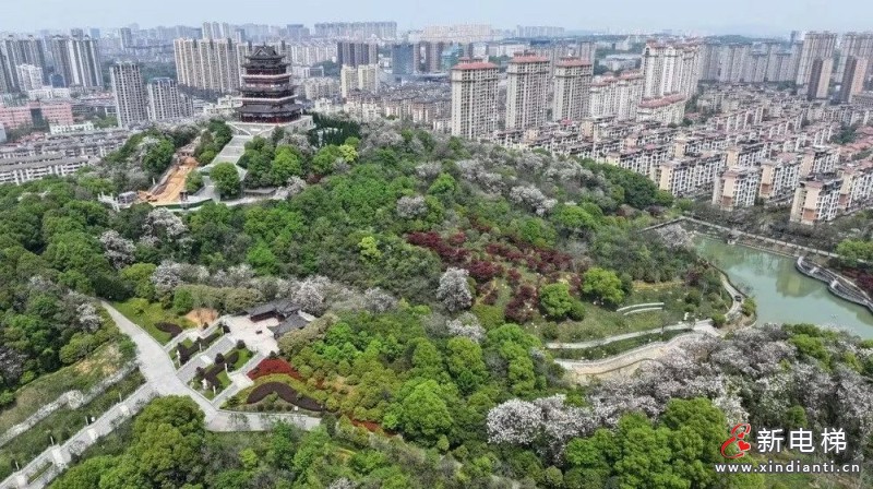 赋能文旅产业,江南嘉捷助力江西青原山风景区、南山公园景区升级焕颜!(图4) 赋能文旅产业,江南嘉捷助力江西青原山风景区、南山公园景区升级焕颜!(图4)