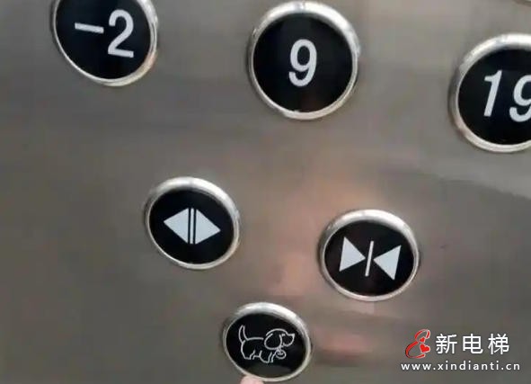 新电梯网早新闻 2025年9月24日 八月初三 星期三(图5) 新电梯网早新闻 2025年9月24日 八月初三 星期三(图5)