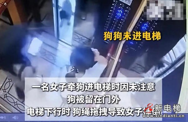细绳成隐患！四川遂宁一女子牵狗乘坐电梯时 电梯门未识别狗绳致人摔倒