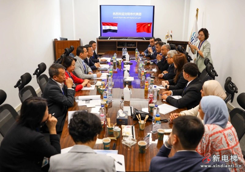 家乡的骄傲,世界的舞台:吕志成市长莅临远大智能埃及合作工厂,点赞中埃国际化合作成果(图3) 家乡的骄傲,世界的舞台:吕志成市长莅临远大智能埃及合作工厂,点赞中埃国际化合作成果(图3)