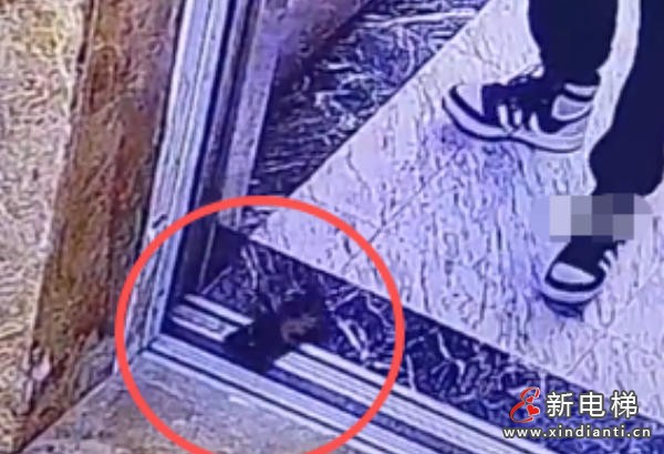 贵州遵义一男子按电梯按出“意外”：手机掉落电梯井先一步“下楼”了
